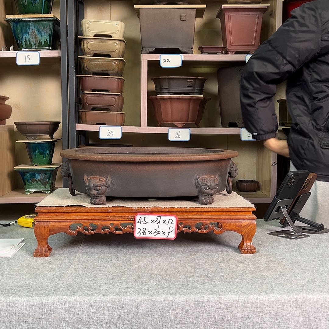 紫砂花盆陈****活3992855666666555555