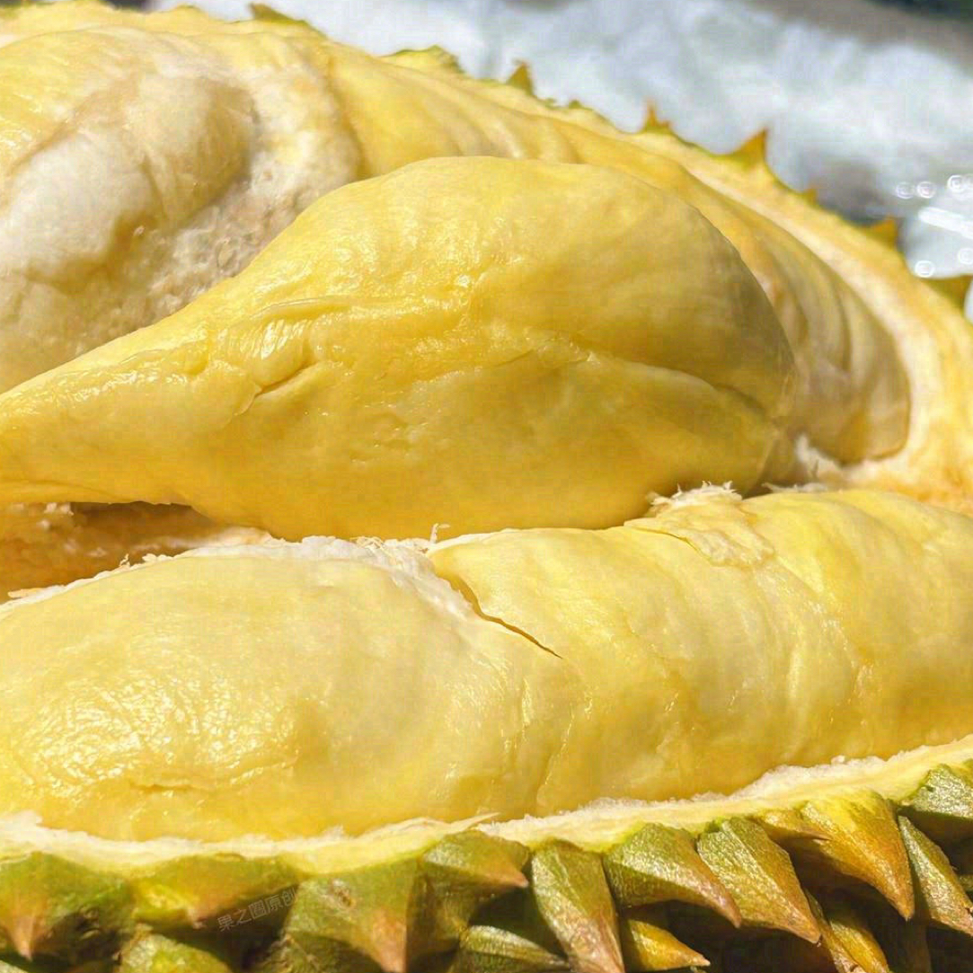 新鲜金枕榴莲49.9一公斤（称好在拍）核小金枕越南