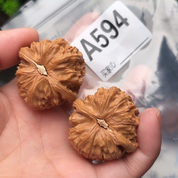 把件桃核核桃白狮子37