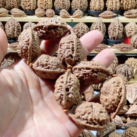 文玩核桃把件双面诡脸