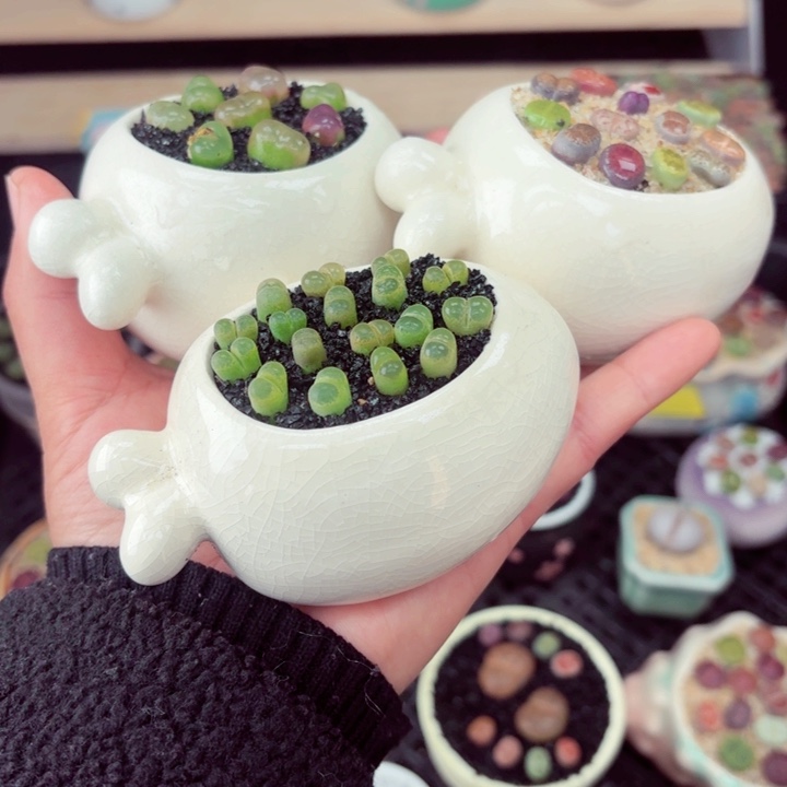 584零下地区记得拍保温小满18包邮