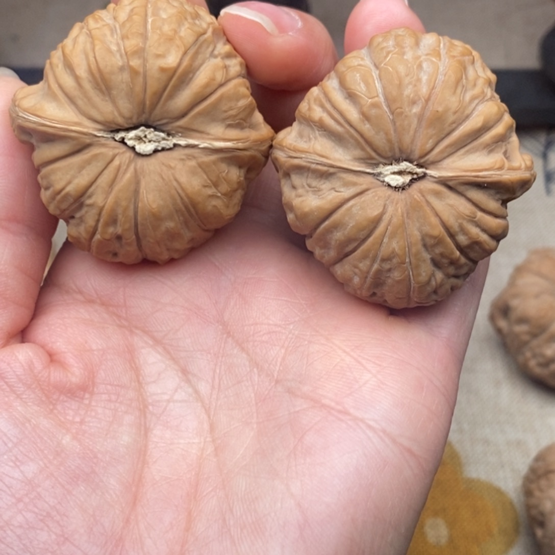 細***）把件文玩核桃南瓜墩