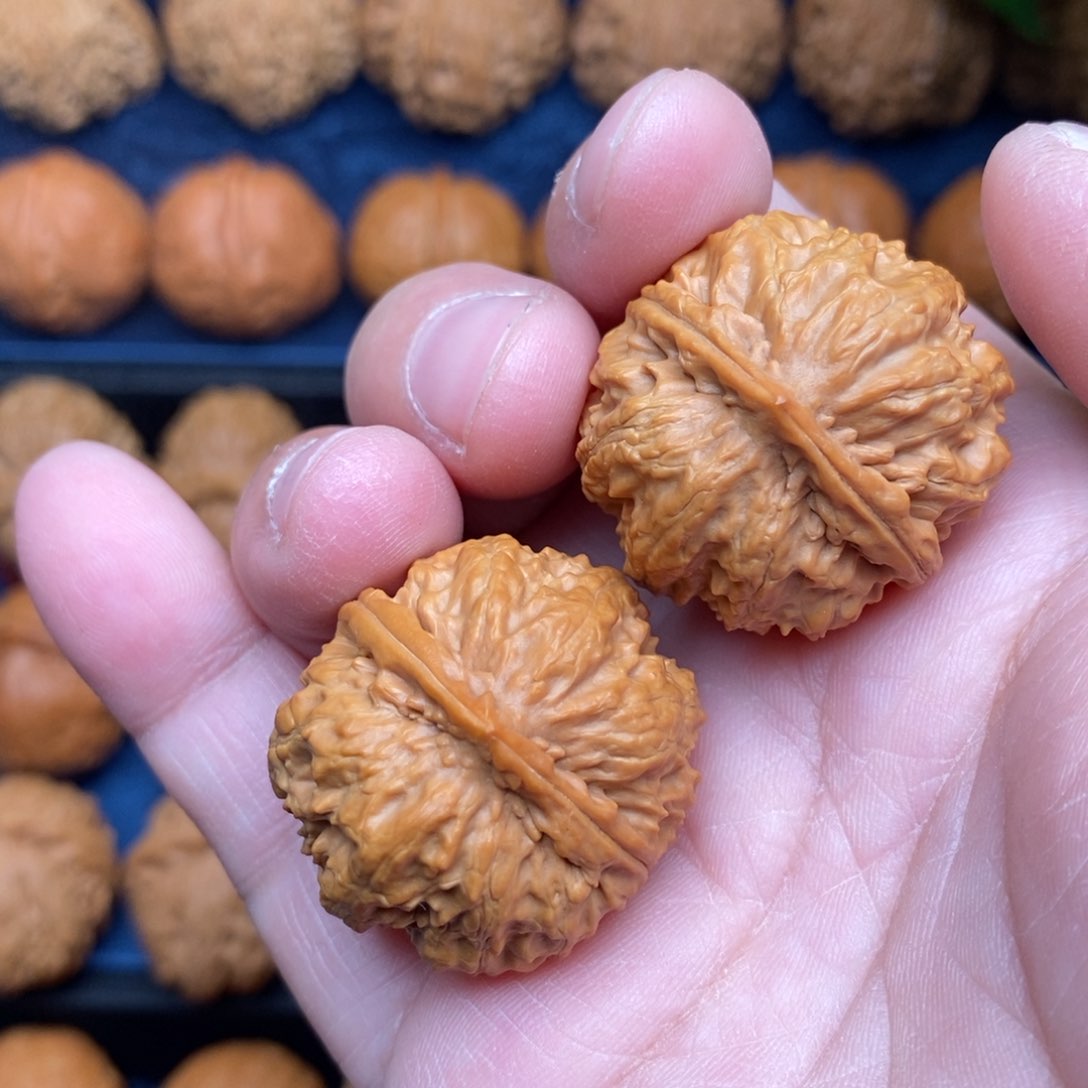 文玩核桃把件手捻野菊石头