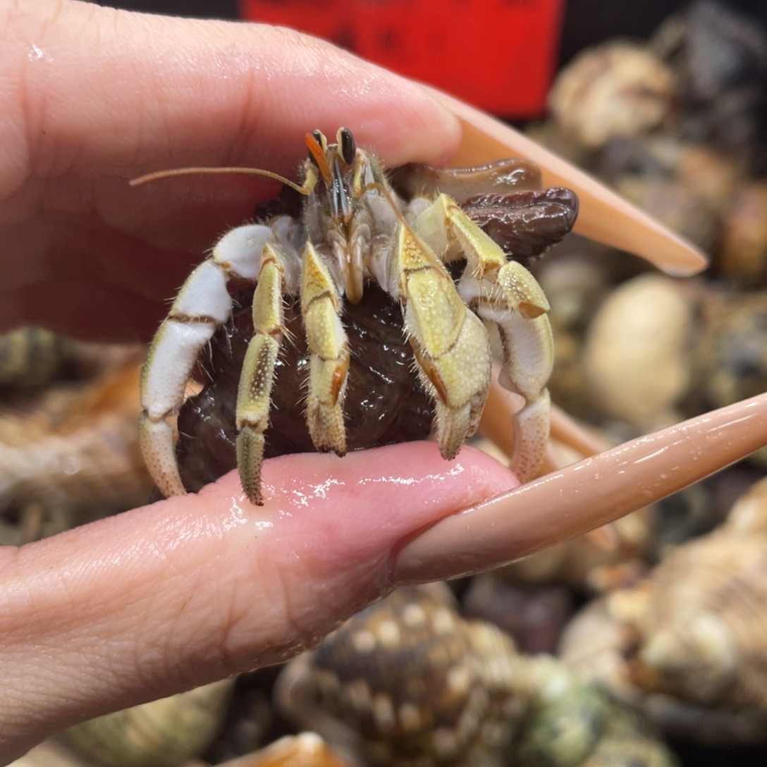 不退不换谢谢支持70