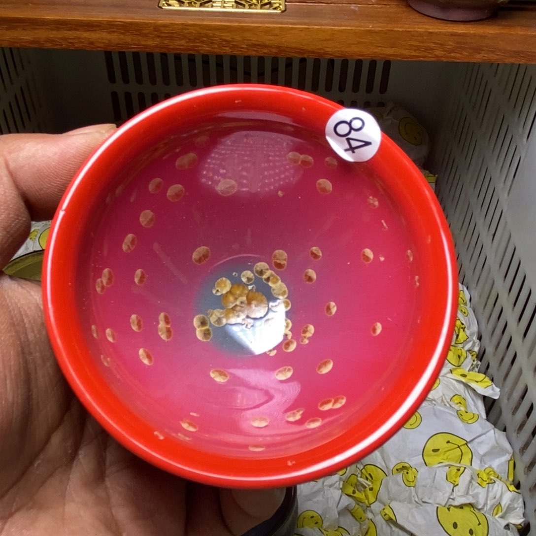 茶盏建盏喝茶主人杯茶杯