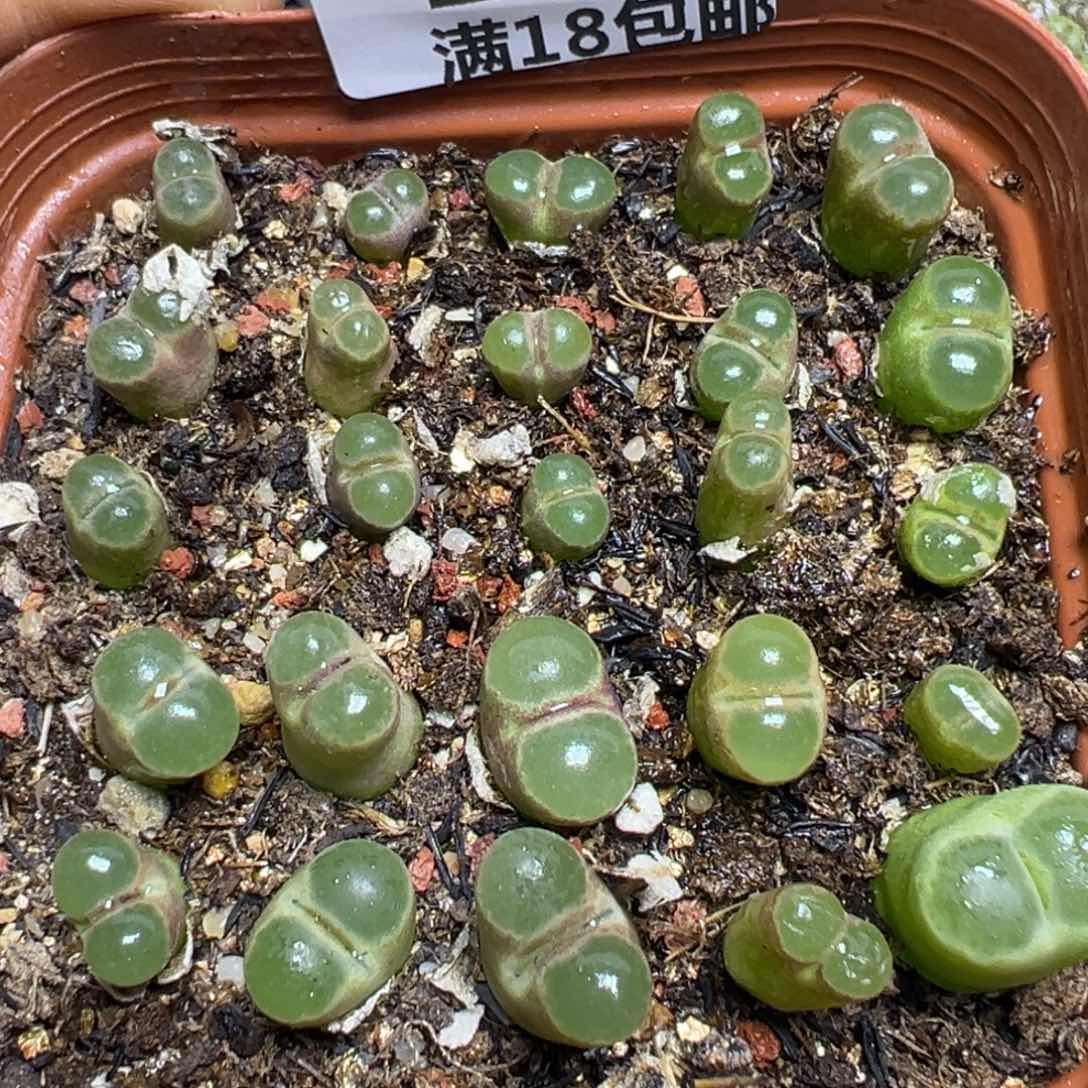 【闪购商品】 138。     