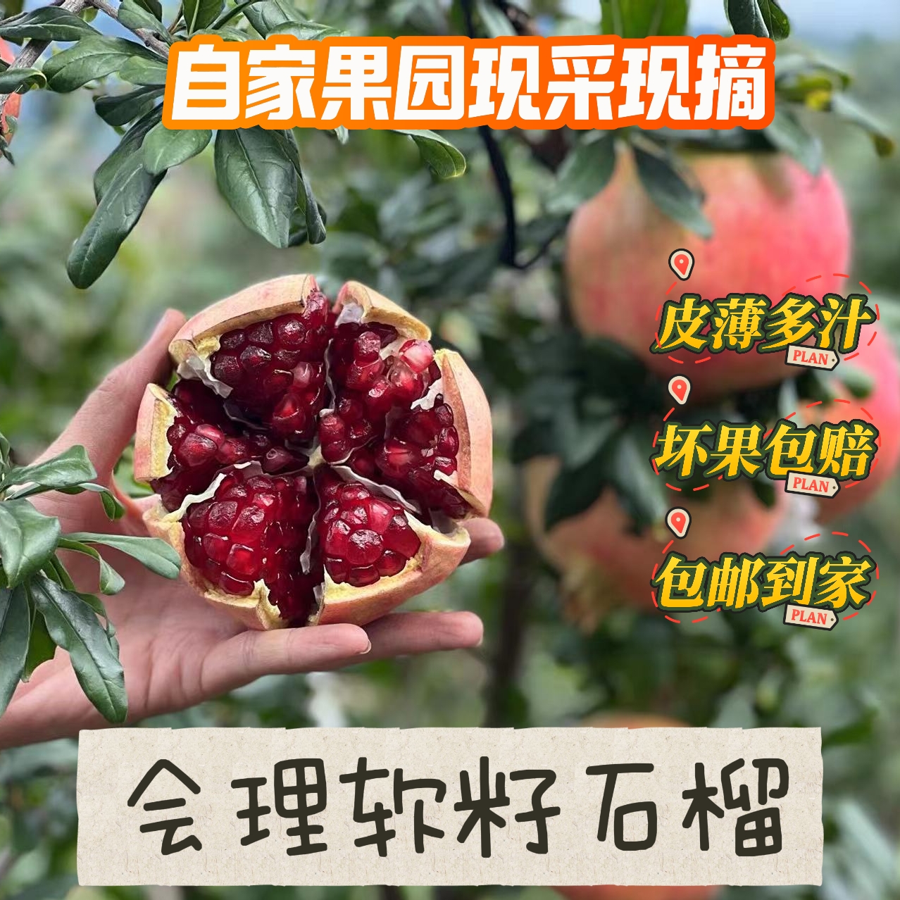 四川会理软籽石榴新鲜当季水果鲜甜多汁饱满带箱八斤