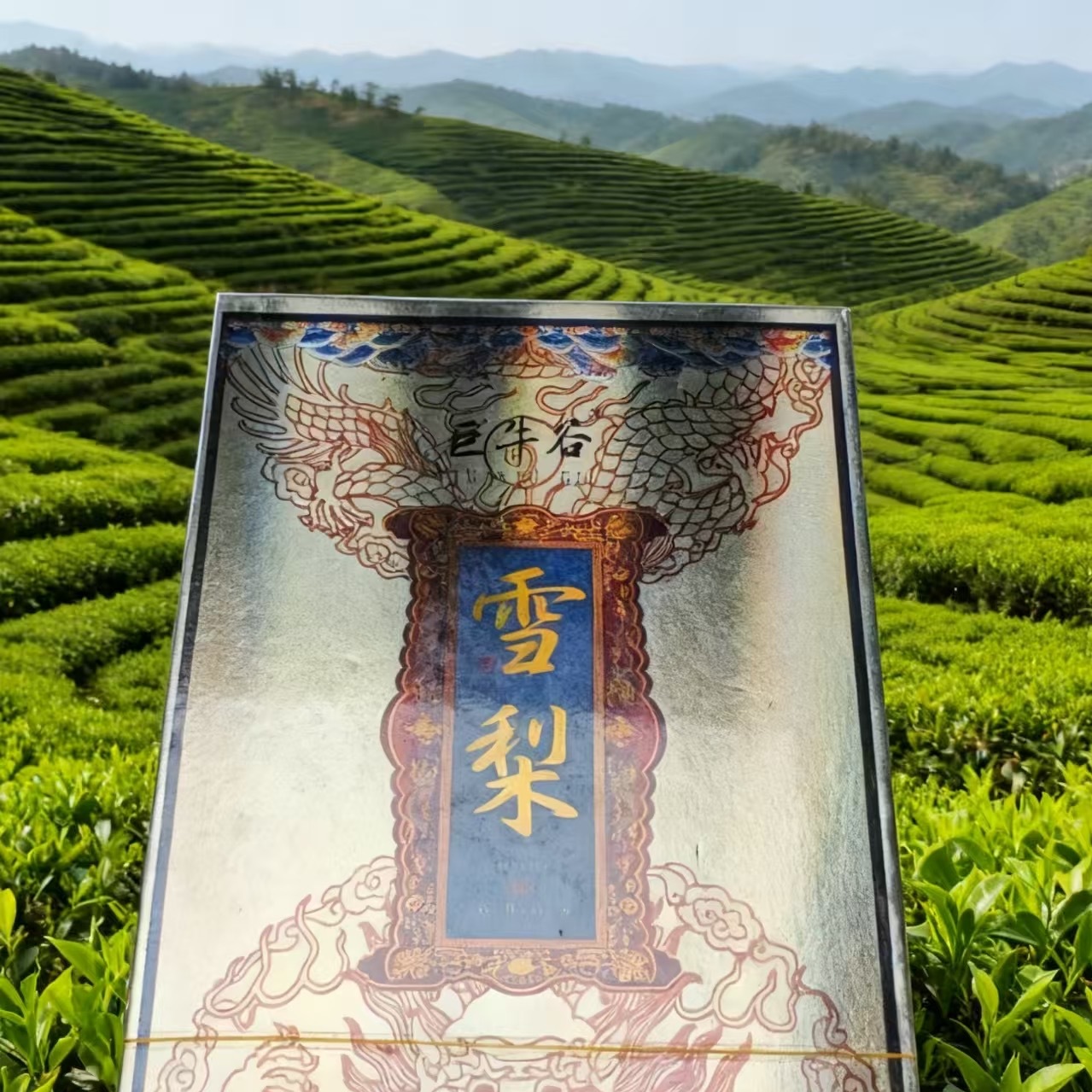 巨牛谷（雪梨）8克*4泡