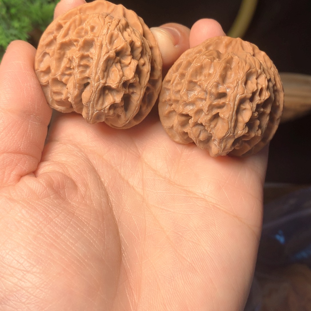 文玩核桃把件苹果圆