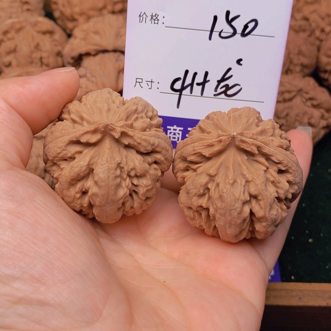 文玩核桃霸王龙核桃