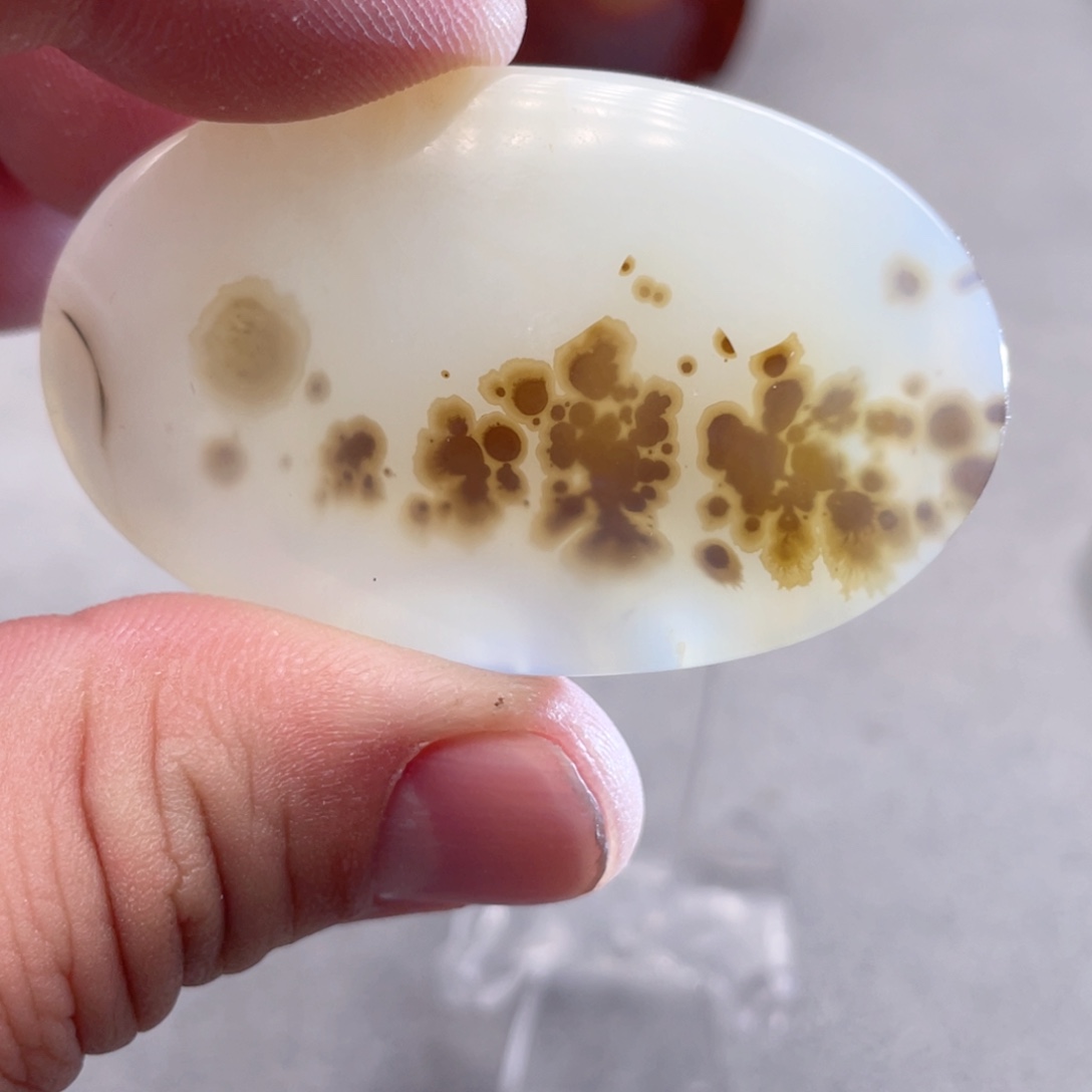 【闪购商品】玛瑙/玉髓颈饰合金