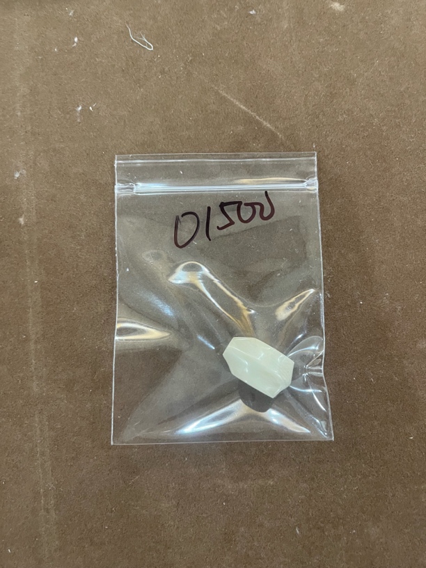 01500亚齐猛犸鲨鱼背配饰