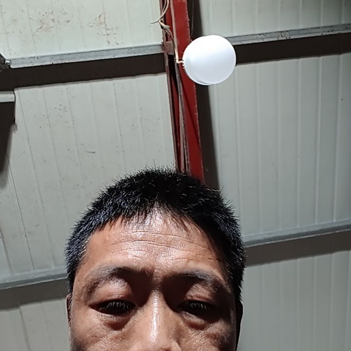 香榧木太行崖柏古料直料