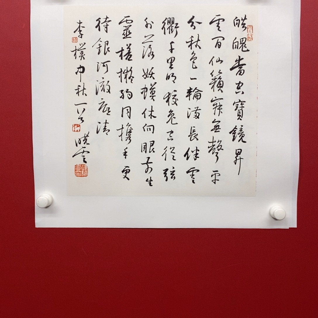 尚古202565865656688