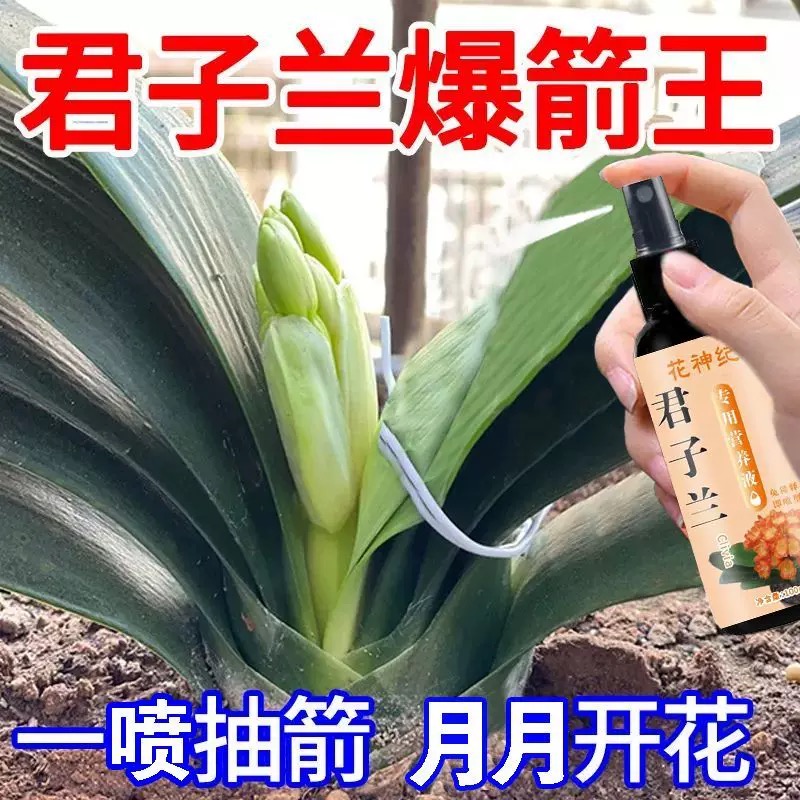 君子兰金钱树营养液促箭催花防黄叶烂根免稀释专用肥料下垂蝴蝶兰