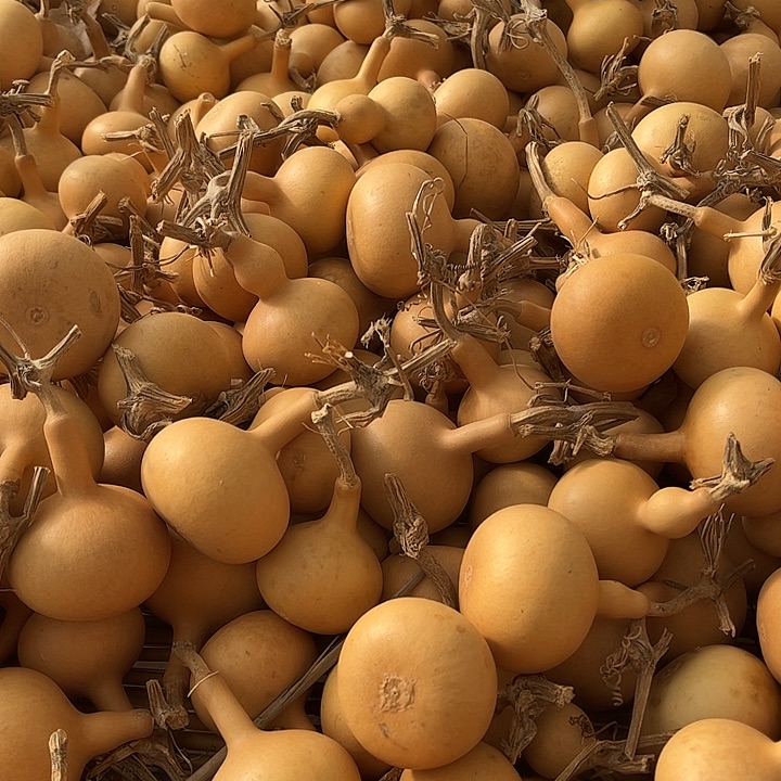 用***3有机玻璃葫芦葫芦葫芦葫芦