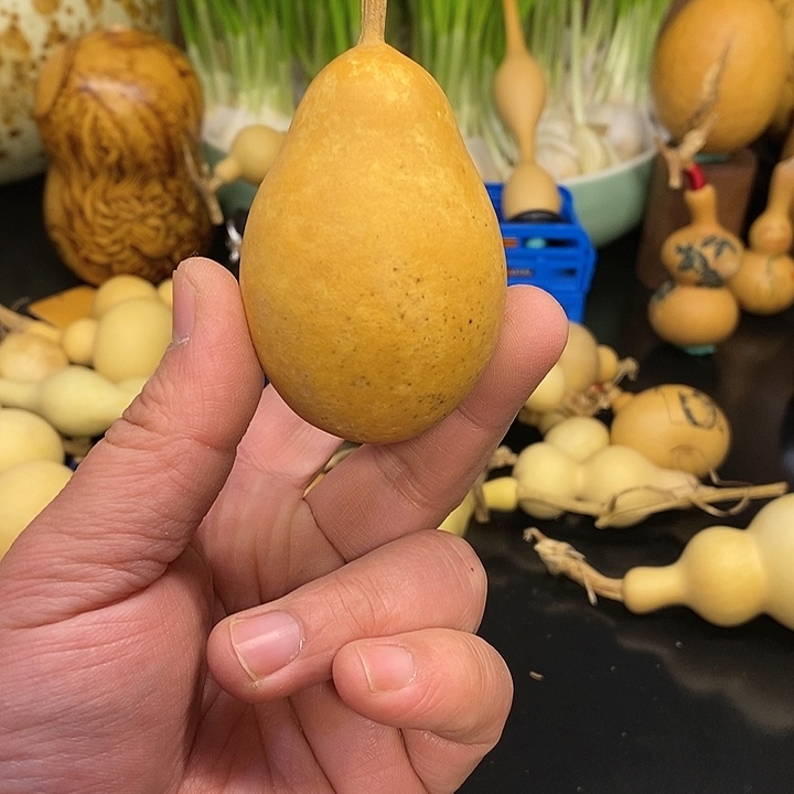 K***?精品葫芦手把葫芦60