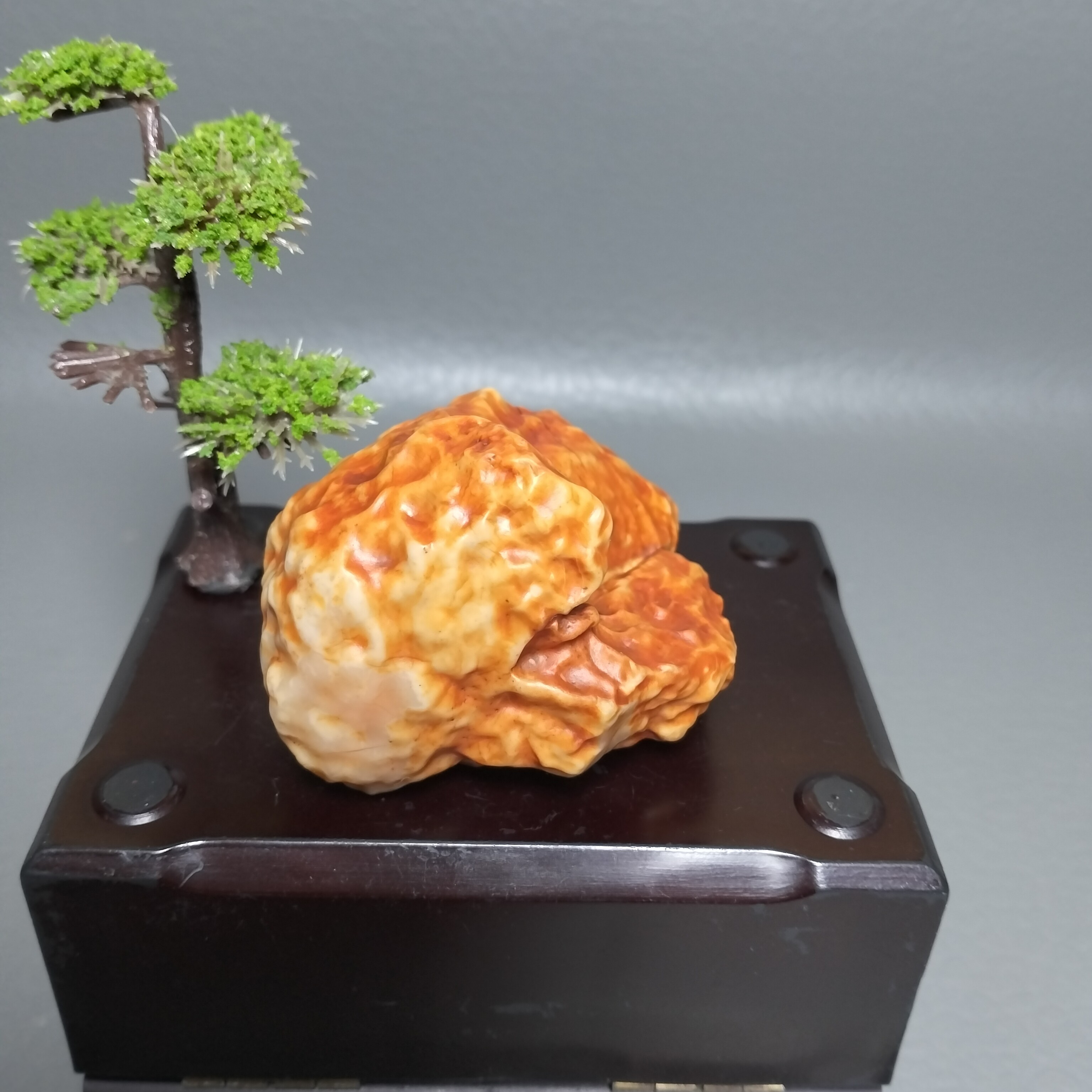 戈壁沙漠漆老虎。