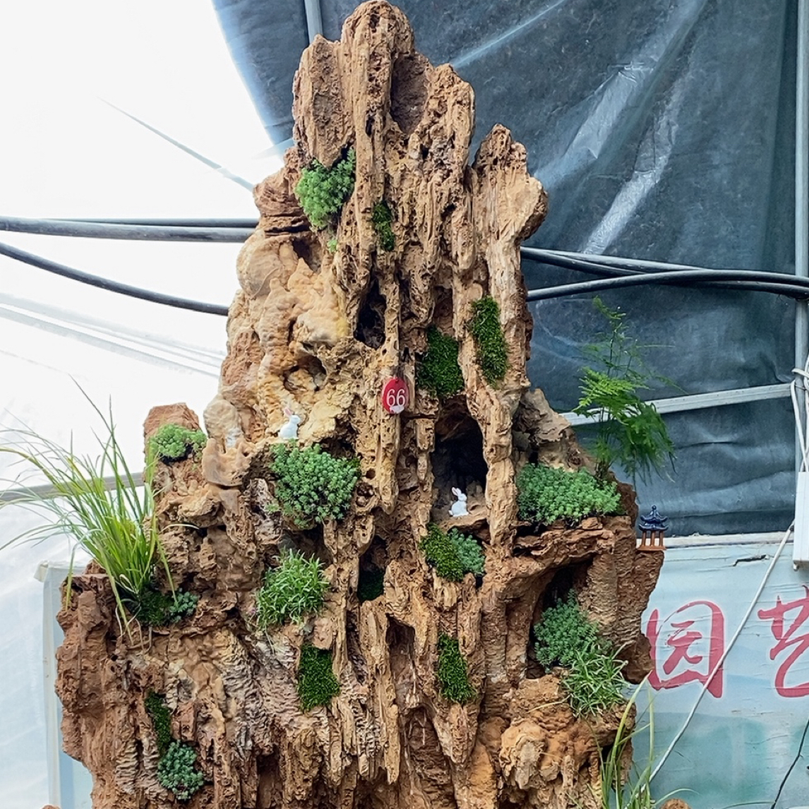 吸水石假山吸水石