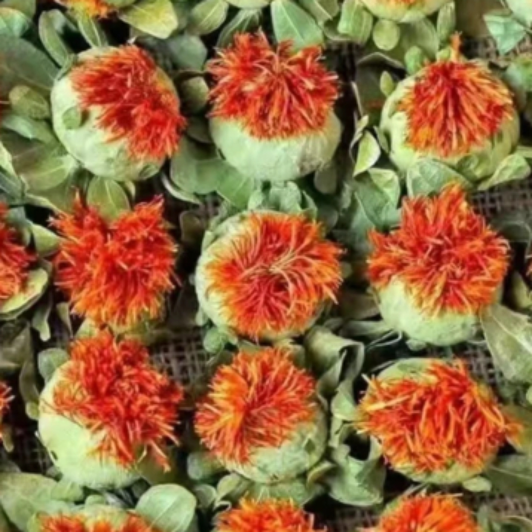 优选特产 帝王花 品质正宗值得选购