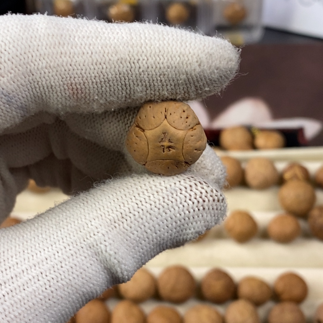 凤眼菩提吊坠18五星单颗