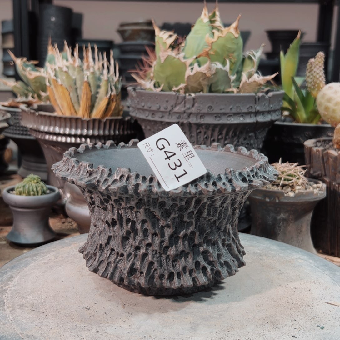 景德镇手工素里内口14.5高10.5