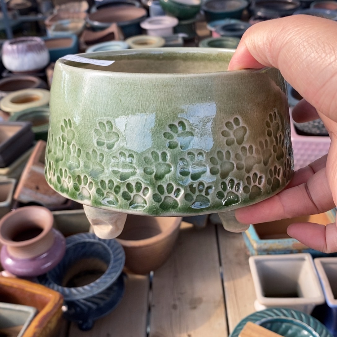 97号多肉盆口径13精品多云烧