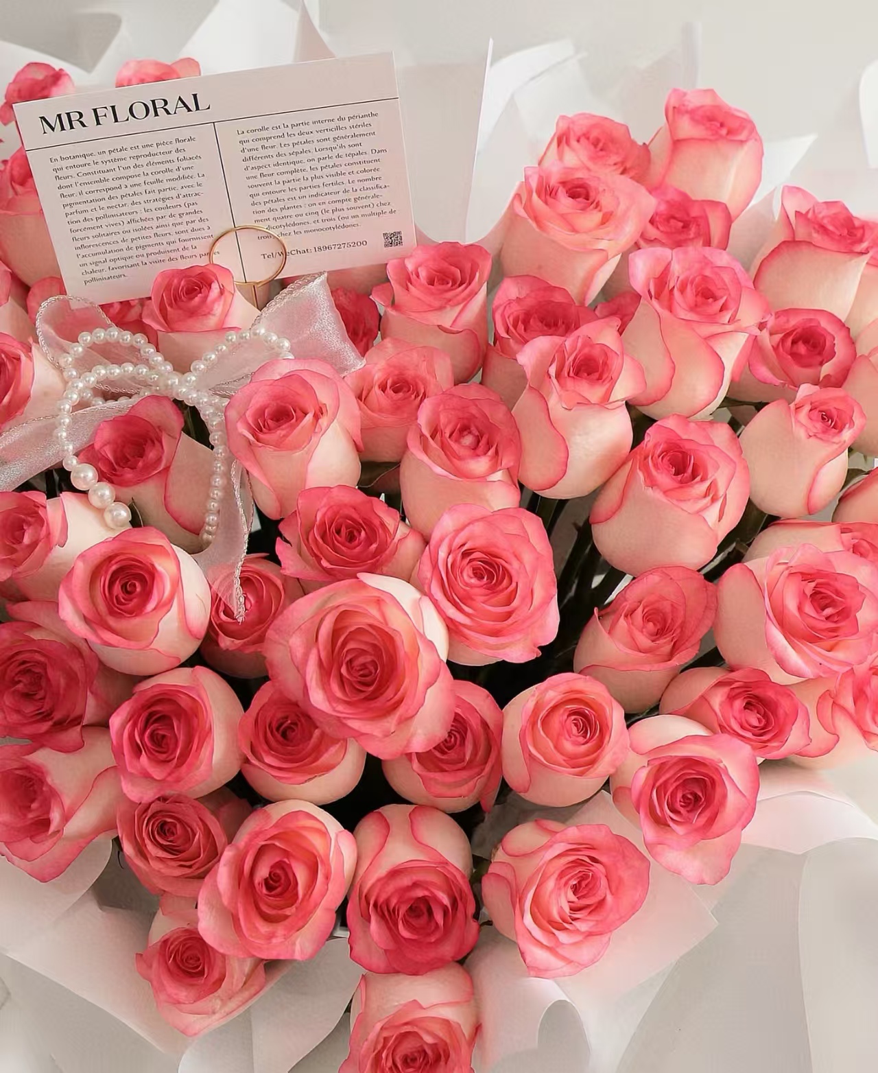 A3 【艾莎+碎冰蓝+洋桔梗+风铃+草】 一单顺丰   云南基地鲜切花 