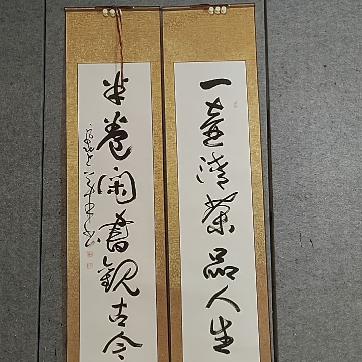 书法四尺对开。半卷闲书观古今