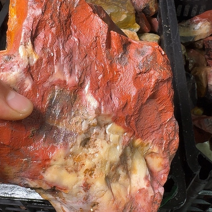 寿山石寿山石的种类