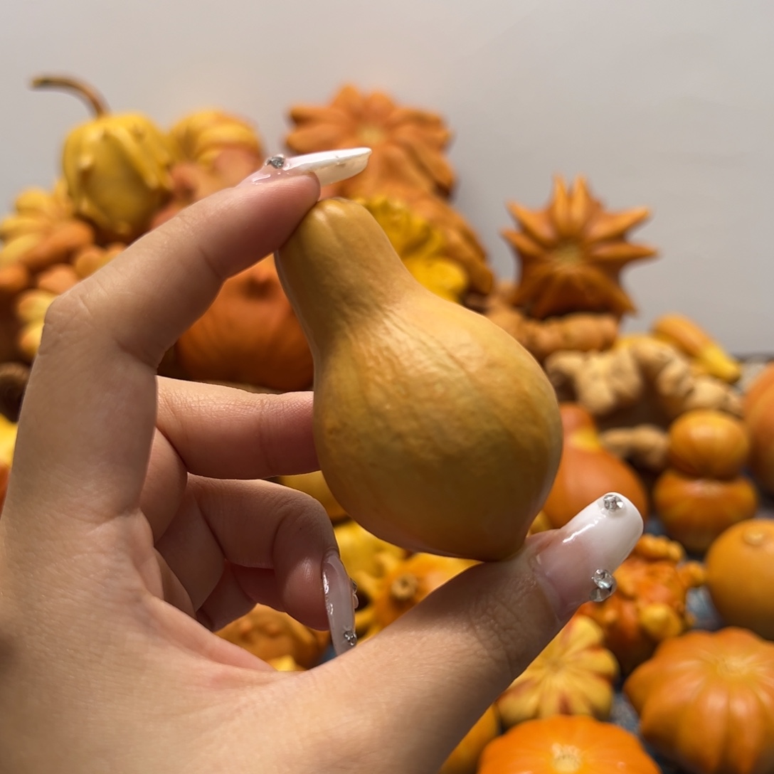 小美人墨西哥葫芦