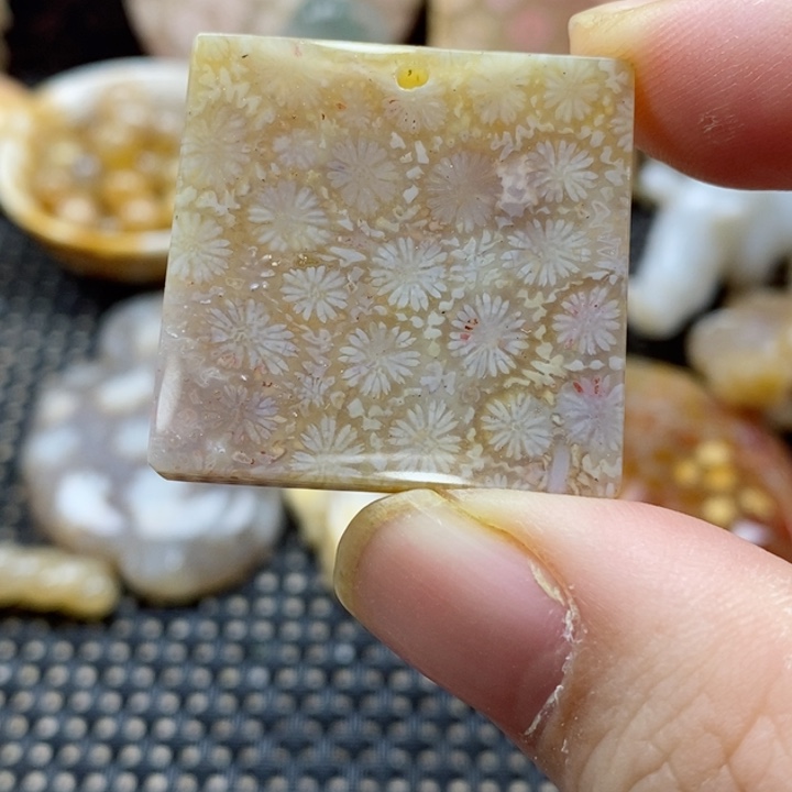 硅化珊瑚（珊瑚玉）颈饰未镶嵌