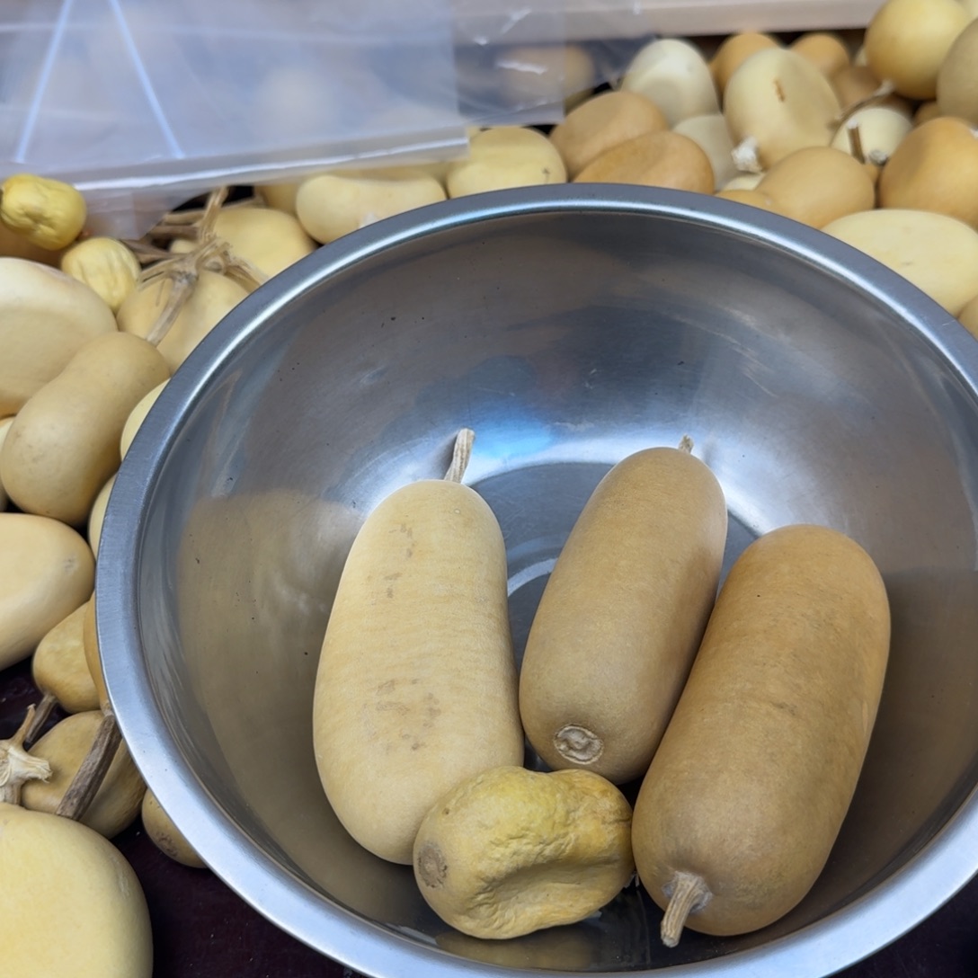 后***人直播间葫芦专属链接126