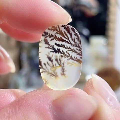 玛瑙/玉髓珠宝奇石未镶嵌