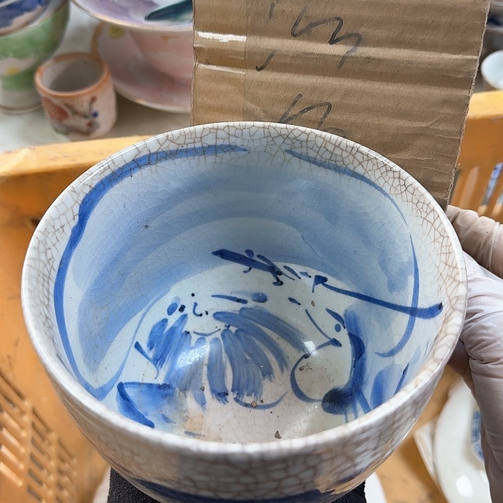 碟开播啦…开播啦