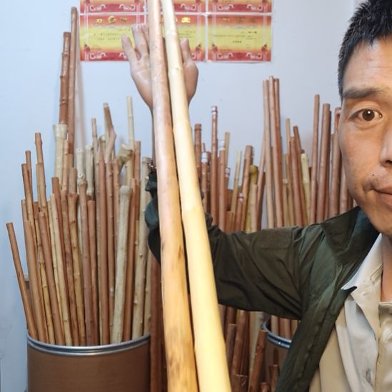 青***人秦岭石山红荀子，牛筋木