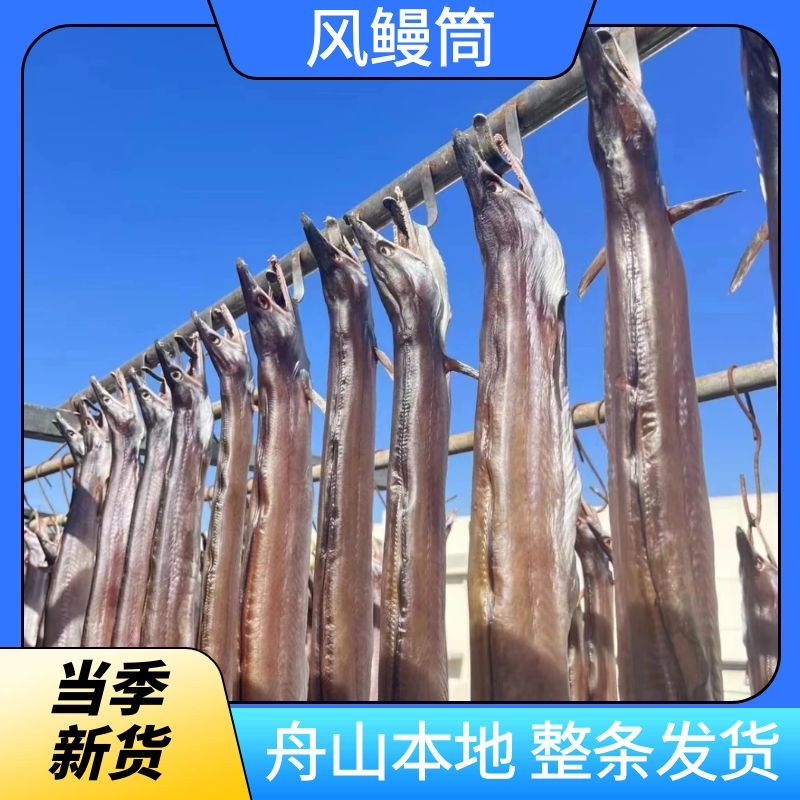 舟山本地整条风鳗筒海鳗淡晒海鲜干货 1斤左右/条