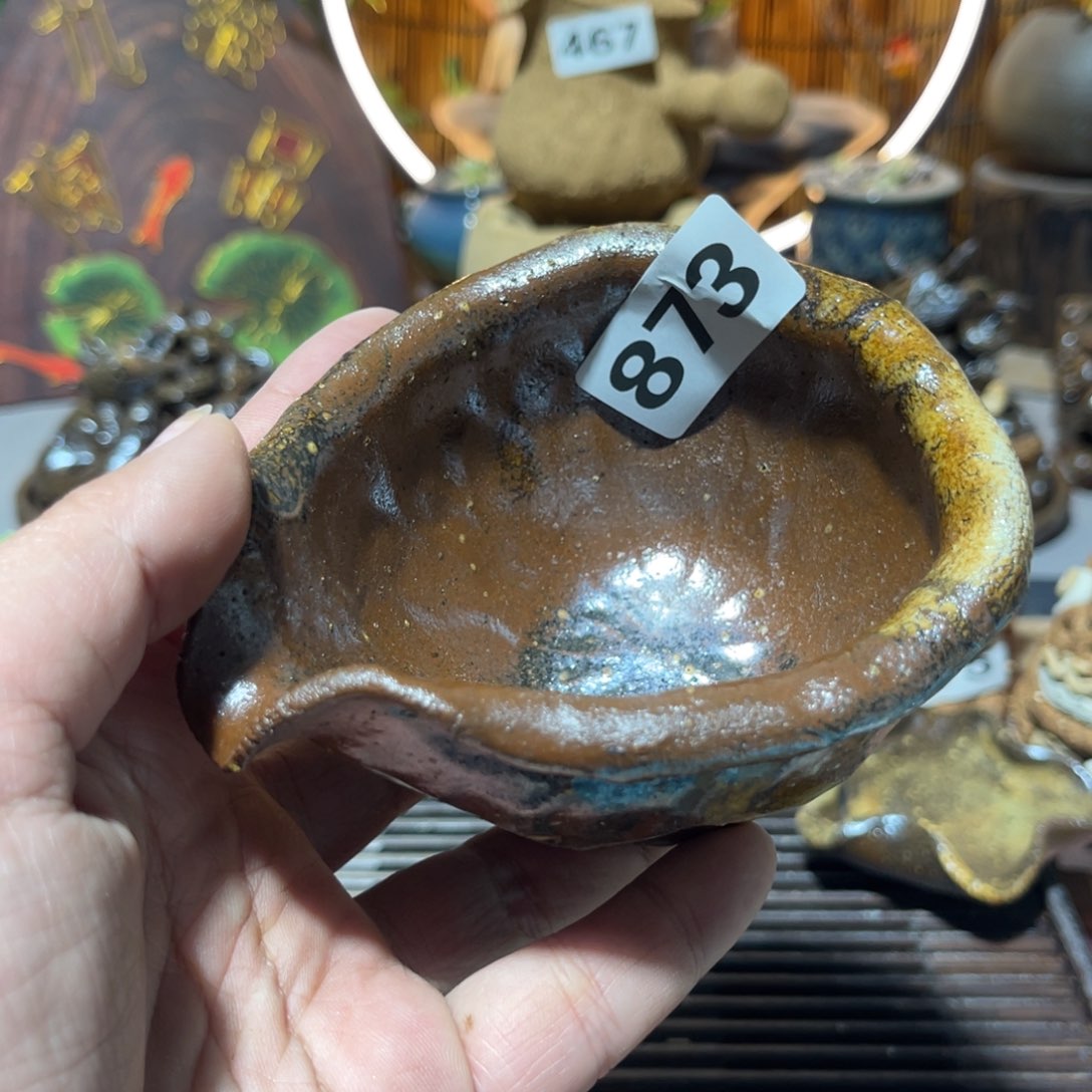 木村信弘柴烧保平