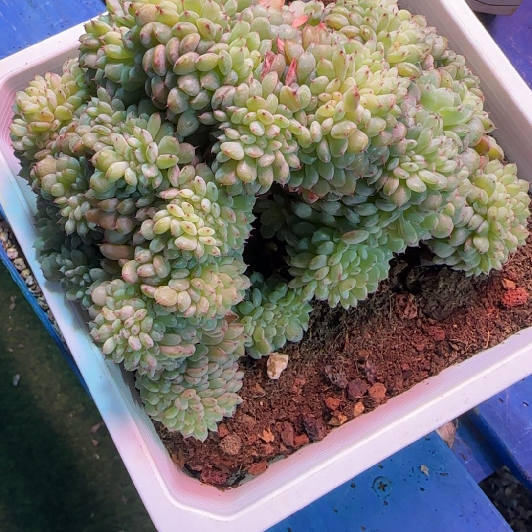 福利多多哦欢迎新005