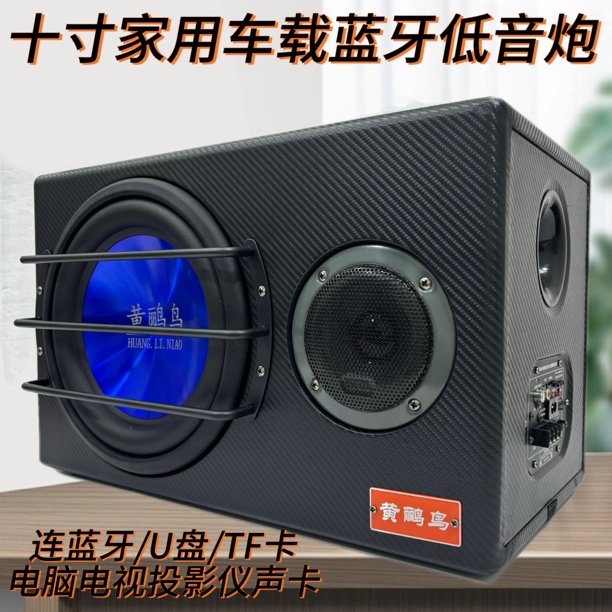 10寸车载家用12v24v 220v超重低炮蓝牙U盘汽车改装大功率尾箱炮