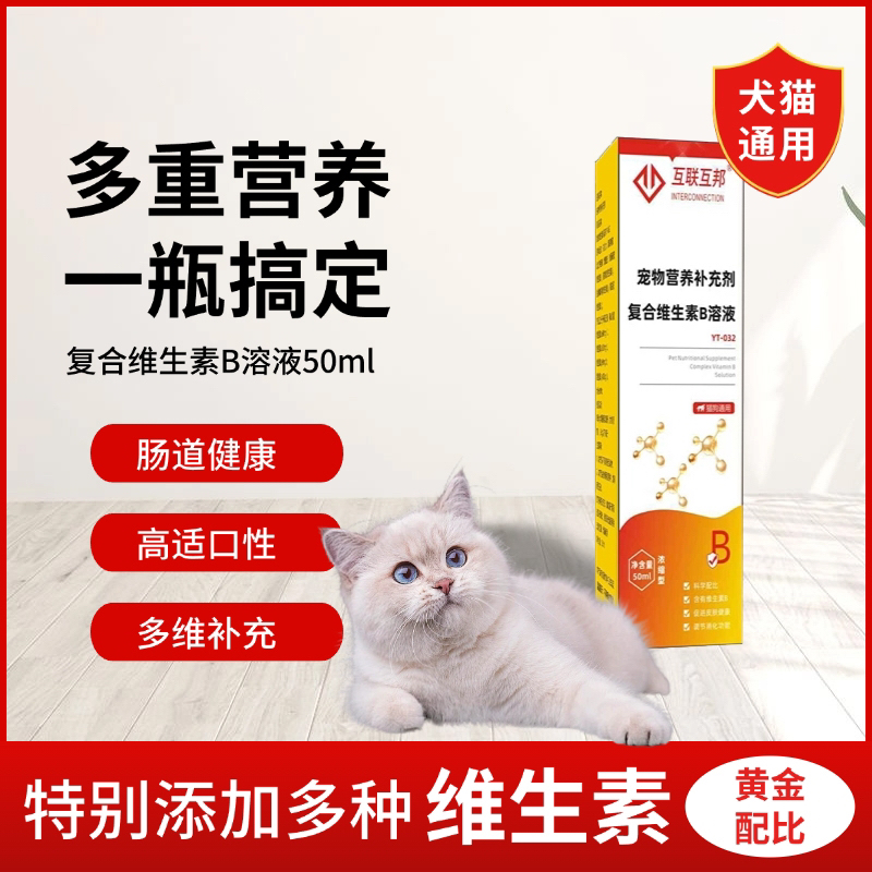 猫用维生素B溶液 促进新陈代谢 优化皮肤问题 