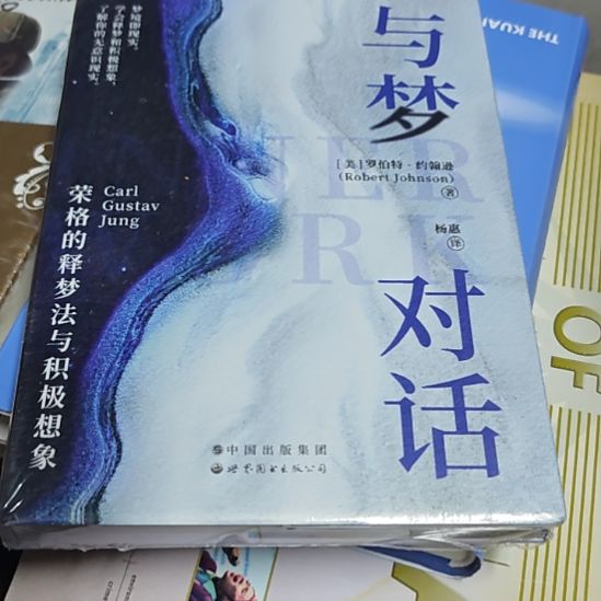 与梦对话精装塑封库存书