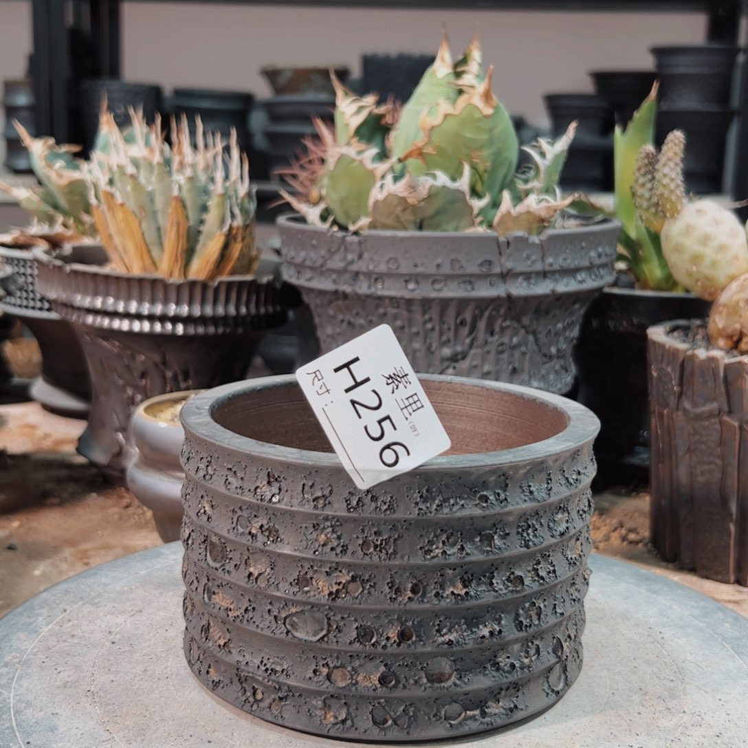 景德镇手工素里内口12.5高8.8