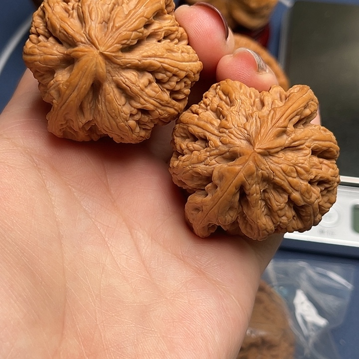 文玩核桃把件粗筋42