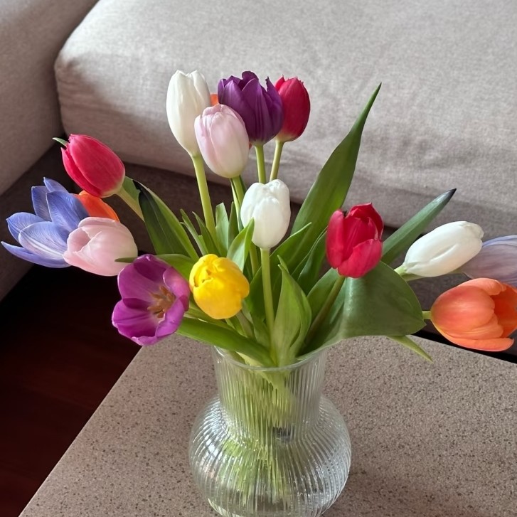 （混色郁金香）郁金香小众高颜值郁金香产地顺丰包邮