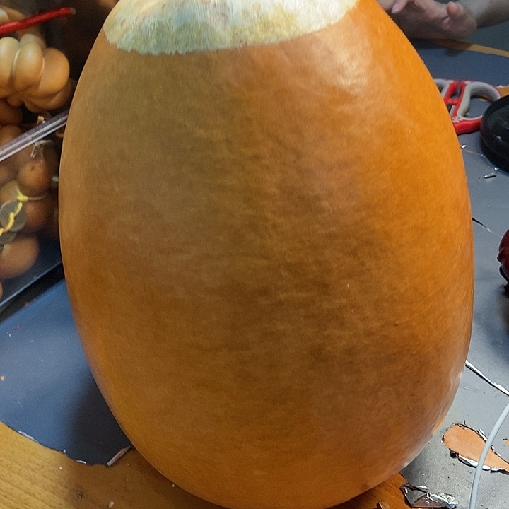 朱***阁茉莉香菇滑鸡哦啦我在哪