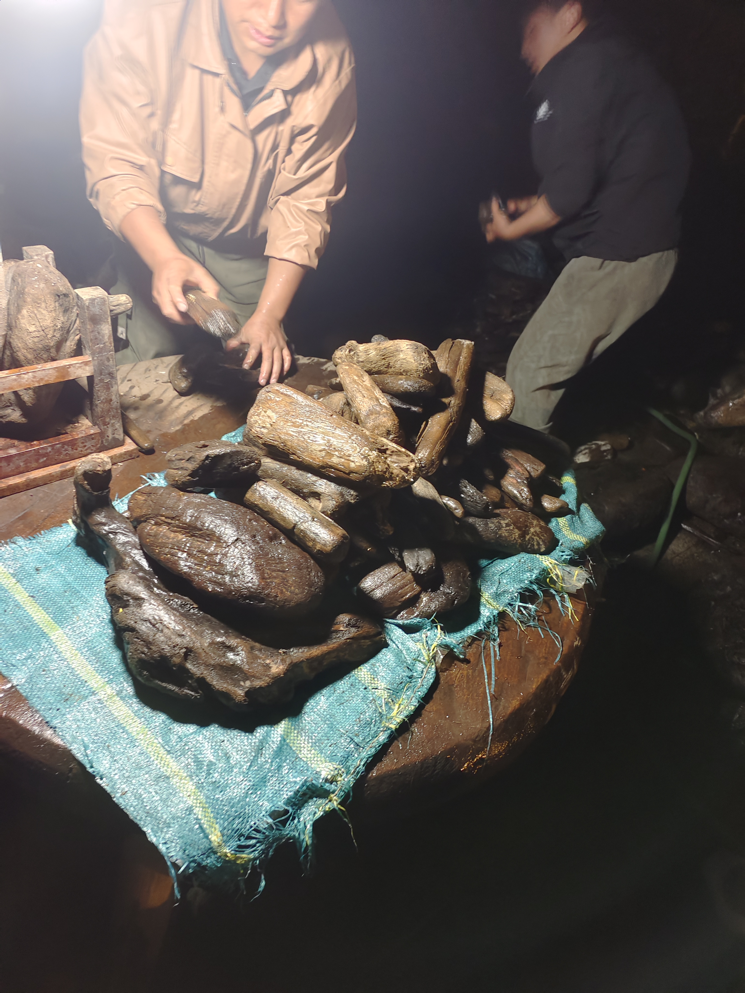 民间使用风化木漂流木70个