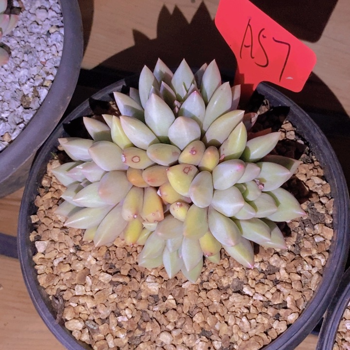 萱*萌你说吧怎么会是这种态度