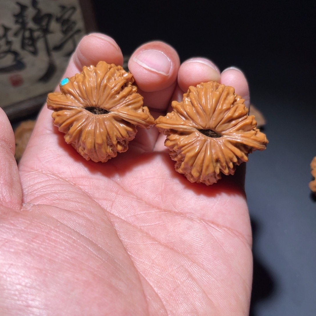 文玩核桃把件鲨*豆楼子
