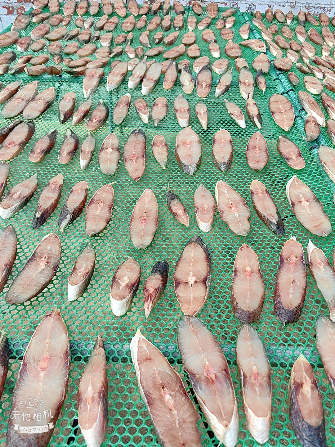 湛江外罗淡晒深海马友鱼干